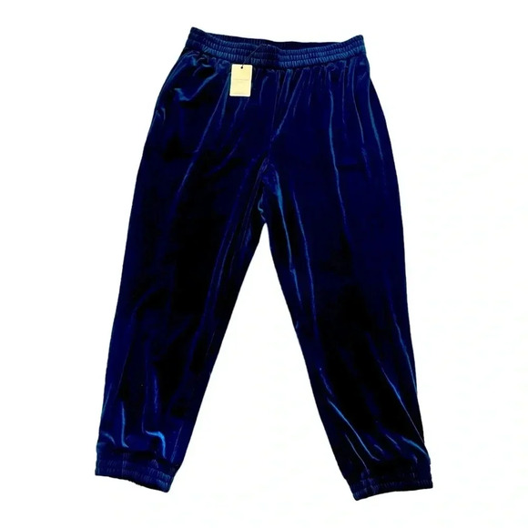 Skies Are Blue Pants - SKIES ARE BLUE CURVY Women 1x Velour Deep Blue Joggers Rich Material